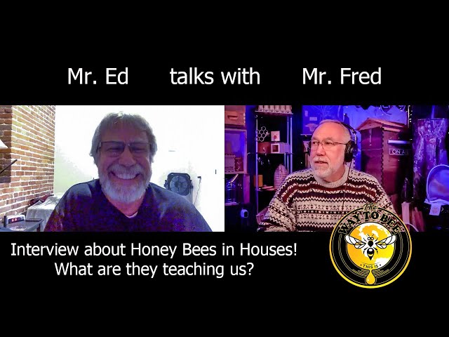 Frederick Dunn Interviews Jeff Horchoff, AKA Mr. Ed! About feral cutouts and  honey bee observations class=