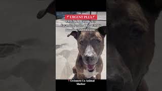  Follow On Facebook For Updates Httpswwwfacebookcomshare1dgthwcvg8mibextidwwxifr