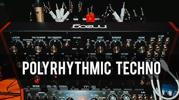 Polyrhythmic Techno Jam | Moog Sound Studio (DFAM, Labyrinth, Subharmonicon)