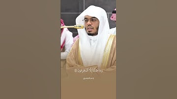 ﴿فَكُبْكِبُوا فِيهَا هُمْ وَالْغَاوُونَ﴾ تلاوة خاشعة للشيخ ياسر الدوسري 🤍.