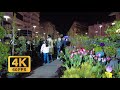 Night Walk Tour, North Avenue, Arts, Street Musicians, Gevorg. Yerevan / Armenia, 4k 60fps