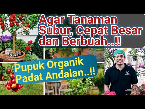 Video: Pedoman Tanaman Standar: Cara Melatih Tanaman Agar Tumbuh Sesuai Standar