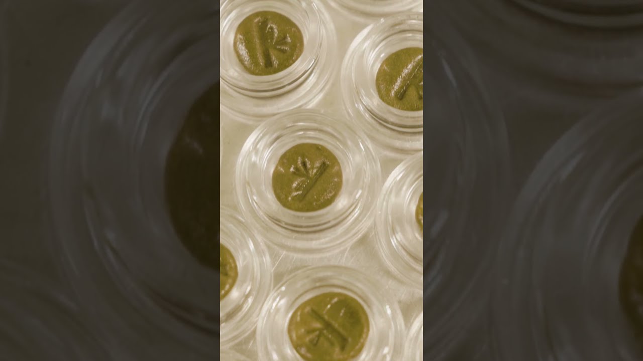 Happy 710 From Sunburn 7 10