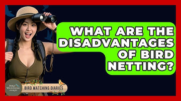 What Are The Disadvantages Of Bird Netting? - Bird Watching Diaries