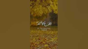 تلاوه ماتيسر من سوره  الأنبياء  القارئ ماجد  العقل