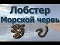 Русская Рыбалка 3.99 (Russian Fishing) Лобстер и Нереис на Северном склоне