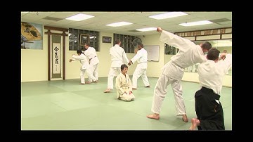 Aikido - The Art of Peace