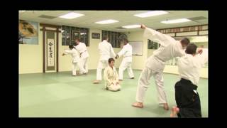Aikido - The Art of Peace
