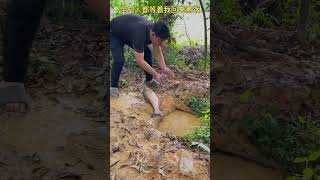 A brave man jump into cave catch fish and gone.So sad. #fishingtechniques #commoncarp #fishingtips