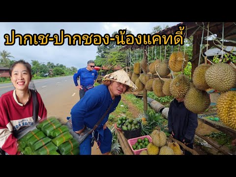 #เที่ยวลาวใต้ ปากเช-ปากชอง-น้องแคทดี้ เลาะลาวใต้ ผลไม้เยอะแยะทุเรียน อโวคาโด้ #บรรยากาศดีมาก #สปปลาว