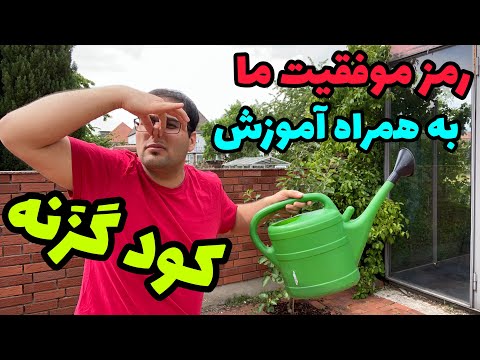 تصویری: گزنه به عنوان کود در سایت