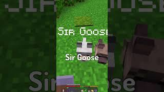 Naming my Wolves with your Suggestions #shorts #minecraft