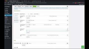 Example of Saving WooCommerce Attributes - WP Content Crawler
