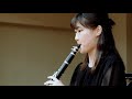 ブラームス クラリネット ソナタ第1番 作品Op.120-1  / J.Brahms Clarinet Sonata Nr.1 Op.120-1