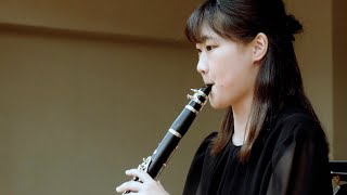 ブラームス クラリネット ソナタ第1番 作品Op.120-1  / J.Brahms Clarinet Sonata Nr.1 Op.120-1