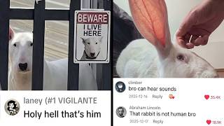Full Savage Comments That Are Way Too Funny 😂 Guide