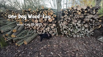 Houttransportaanhanger Kellfri, Houtversnipperaar Greenmech, Een bosvlog 18 2025