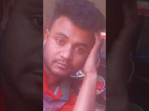 কেমন হলো