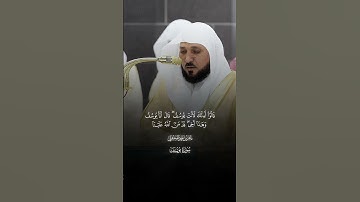 فَلَمَّا دَخَلُوا۟ عَلَیۡهِ قَالُوا۟ یَـٰۤأَیُّهَا ٱلۡعَزِیزُ |سورة يوسف |فضيله الشيخ ماهر المعيقلي