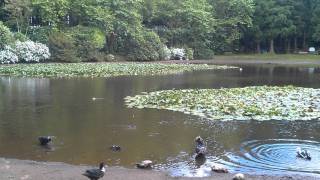 Açores - Portugal | Beleza da Natureza