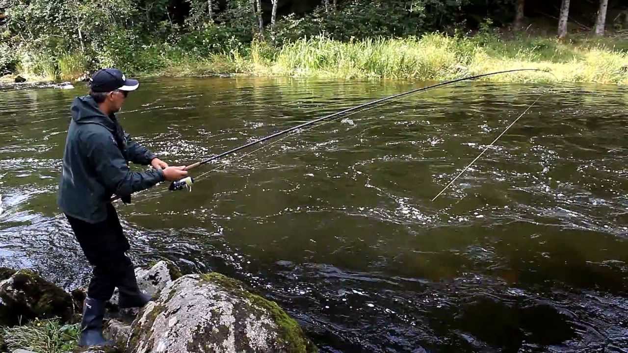 Laks Oselvo 4,5 kg Johnny Lund Sone 4