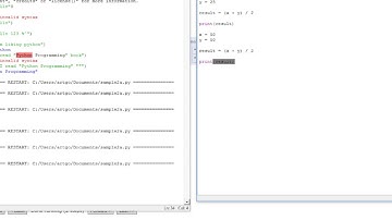 02 Data, input, output, and variables