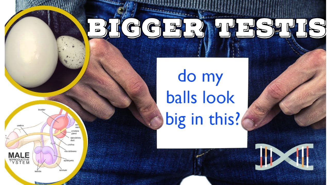 How To Grow Bigger Testicles Enhance TESTOSTERONE YouTube