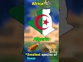 Did you know in Algeria.....