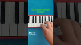 Bergen - Sen Affetsen Ben Affetmem