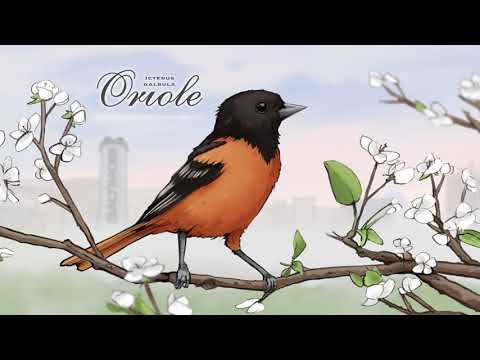 Putar Oriole (feat. Bird Boy) - Dj Cutman