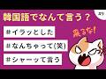 教科書には出てこないネイティブ韓国語 #9 再生回数/ミーム/イラッとする/なんちゃって/再ブレイク/穏やかに/埋め尽くされる/どんどん広がる/おとなしい/シャーッて言う