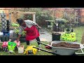 Setting up a FLOURISHING GREENSTALK