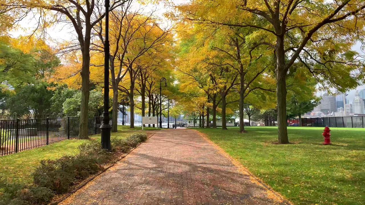 Piers Park Foliage, East Boston MA