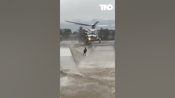 Man rescued from raging water after jumping in to save his dog