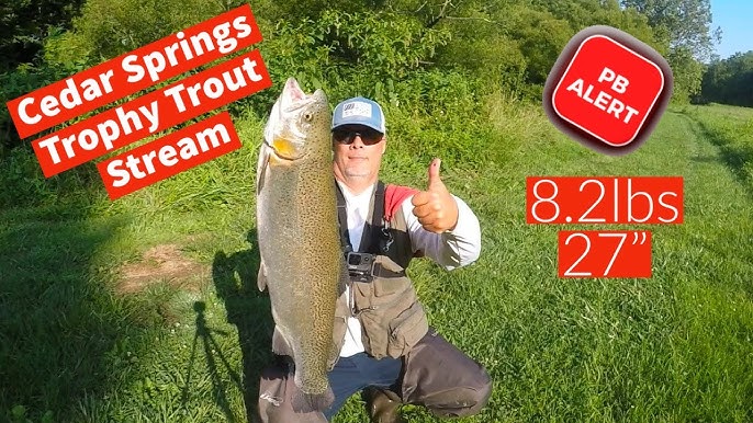GIANT TROUT LOVE SMALL LURES