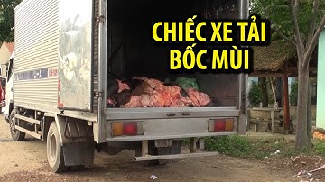 Chặn 1,4 tấn mỡ, da động vật bốc mùi hôi thối