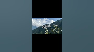 سورة الزمر الاية 60 | القارئ علي جابر🖤🤍