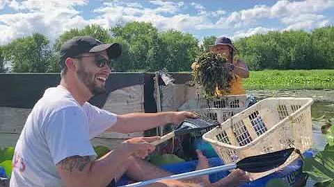 LCA Aquatic Invasive Species Presentation