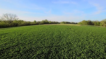FOOD PLOTS ON A BUDGET: PART 1