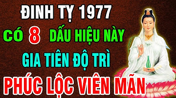 Đinh Tỵ 1977 Có Ít Nhất 3 Trong 8 Dấu Hiệu Này Bạn Được Là Hậu Duệ Gia Tiên, Về Sau Chỉ Hưởng Phước
