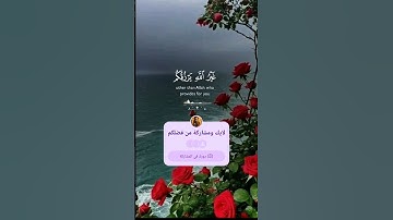سورة فاطر #سورة_فاطر #قرآن #اكسبلور #المصحف #duet #tiktok #دويتو #تيك_توك #راحة_نفسية #quran #fyy