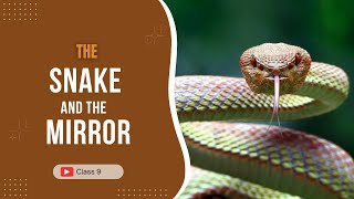 The Snake and the Mirror Class 9 Full Explanation in Hindi | NCERT Beehive Chapter 5 | Nasir Ehdiub