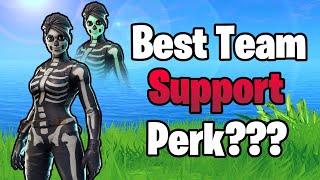 Fortnite Best Team Support Perk?
