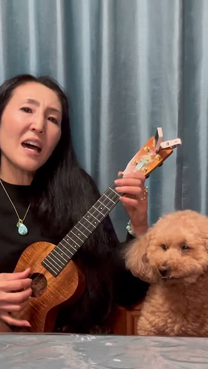 E  Lili'u E #ukulele #japan #hawaii #slackkey key