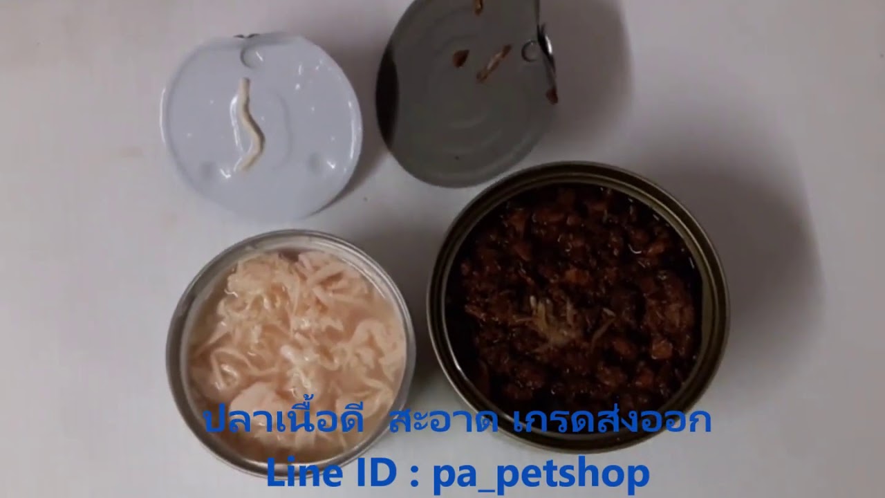 แมวกระป๋องเปลือย By PA Petshop | ข้อมูลที่มีรายละเอียดมากที่สุดทั้งหมดเกี่ยวกับอาหาร แมว กระป๋อง เปลือย