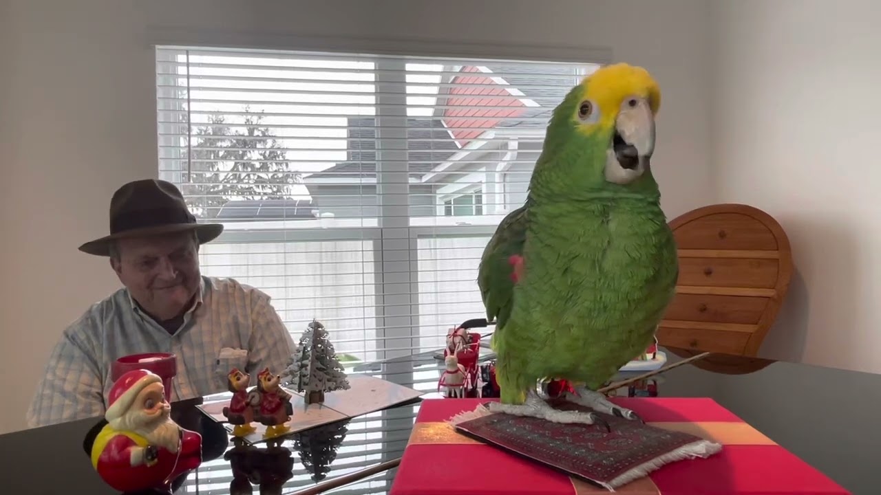 Piano Bird (feat. Frank, Sr)