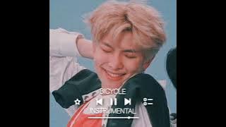 RM BICYCLE INSTRUMENTAL
