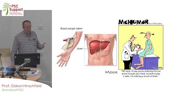 Professor Gideon Hirschfield PSC Support 2016 Birmingham Part 1