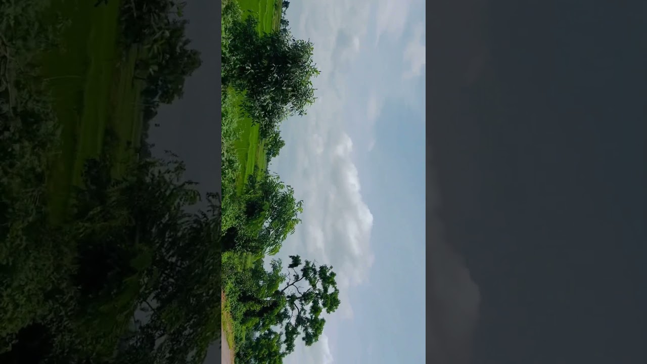 Migilindi nelapai adhi valina maraka #love #music #nature #travel