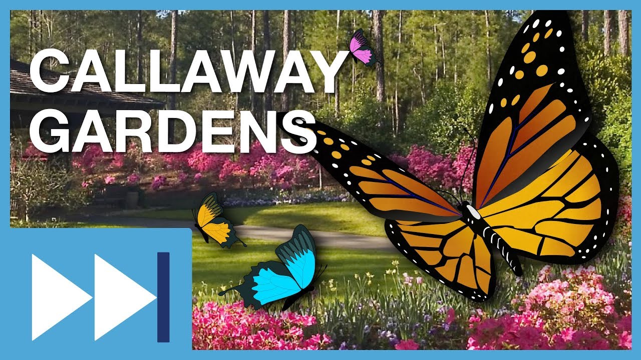 Callaway Gardens Fast Forward Youtube